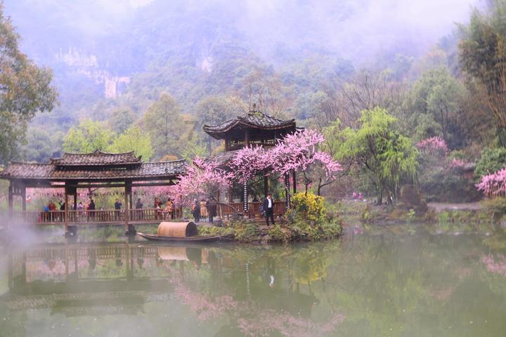 逃离宽敞的健身房